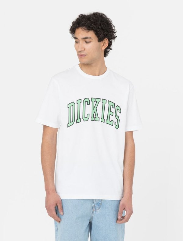 Dickies Aitkin T-Shirt White