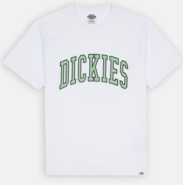 Dickies Aitkin T-Shirt White