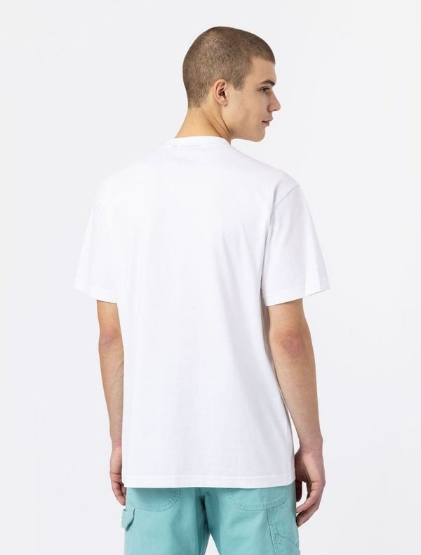 Dickies Mount Vista T-Shirt White