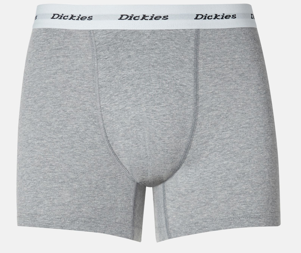 Dickies 2 pack Trunks Assorted Colour